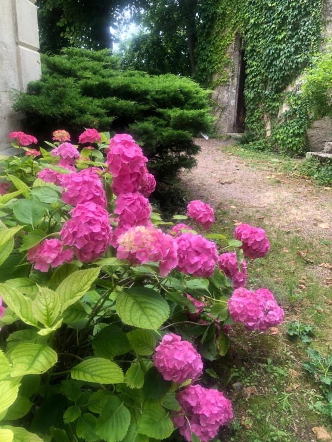 Demeure Des Payratons Bed & Breakfast Saint-Gerand-le-Puy Екстериор снимка